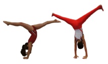 La Gym pour les enfants de 5 ans (2020) La Gym pour les enfants de 5 ans (2020)